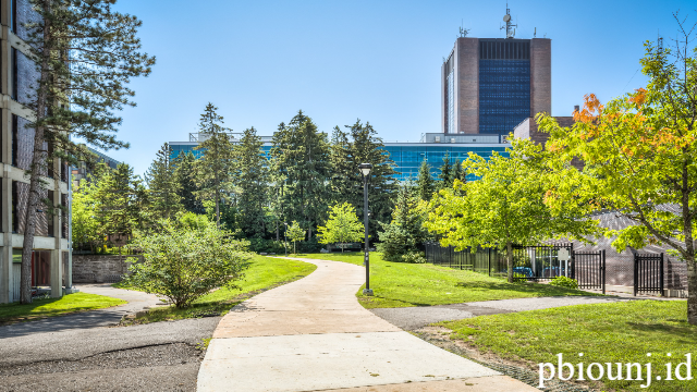 Carleton University: Lembaga Pendidikan dan Riset Unggulan